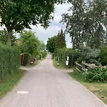 Elida Krummin