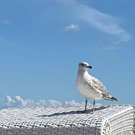 Elida Ferienhaus Krummin